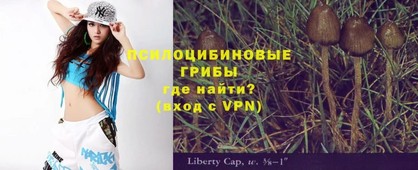 бошки Богданович