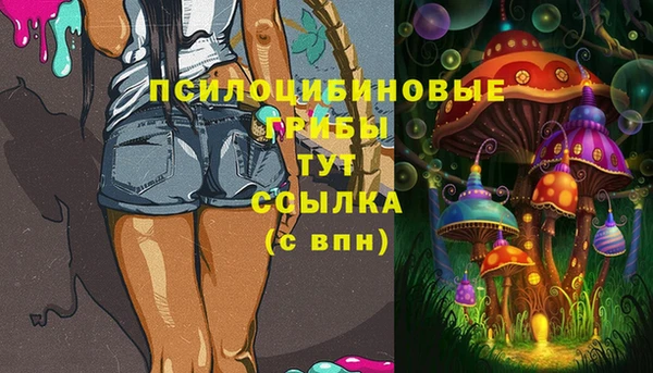 бутират Богородицк