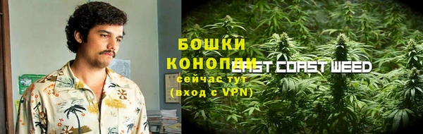 бошки Богданович