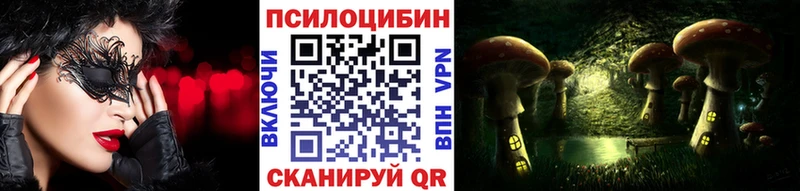 darknet какой сайт  Пестово  Псилоцибиновые грибы Magic Shrooms 